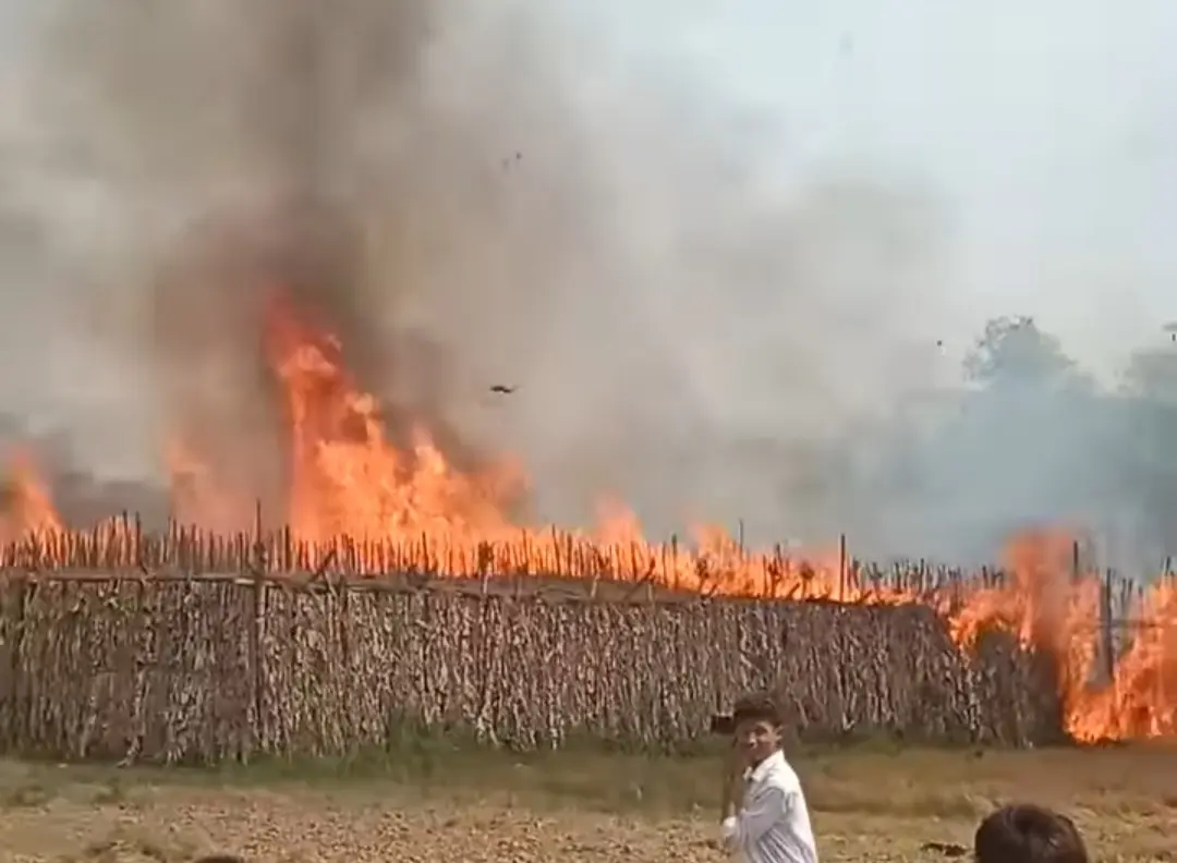 কালীগঞ্জে ভয়াবহ আগুনে পানের বরজ পুড়ে ছাই, নিঃস্ব ৭ কৃষক