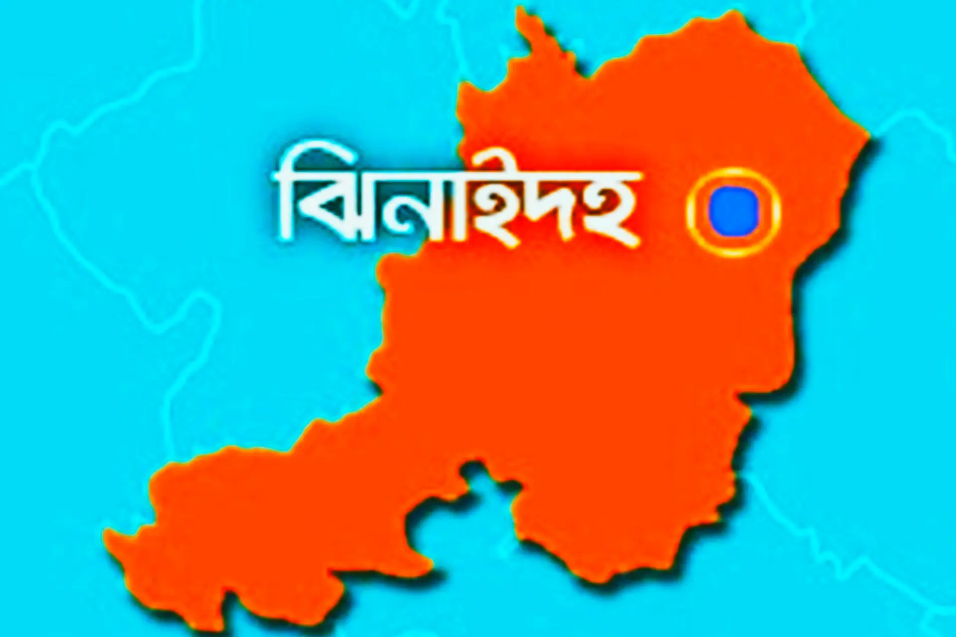 ঝিনাইদহের চারটি আসনে বিএনপির মনোনয়ন প্রত্যাশী যারা-দিগন্ত খবর